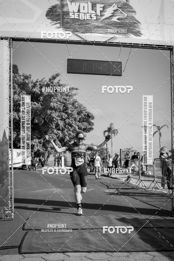 Buy your photos of the eventWolf Series - Botucatu on Fotop