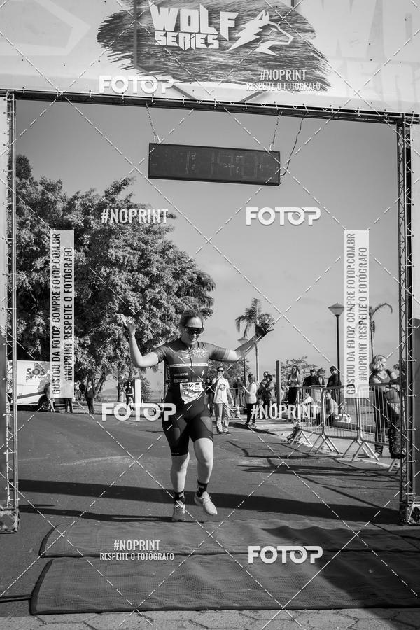 Buy your photos of the eventWolf Series - Botucatu on Fotop