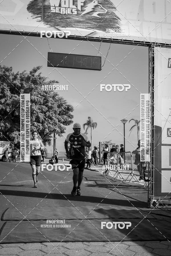 Buy your photos of the eventWolf Series - Botucatu on Fotop