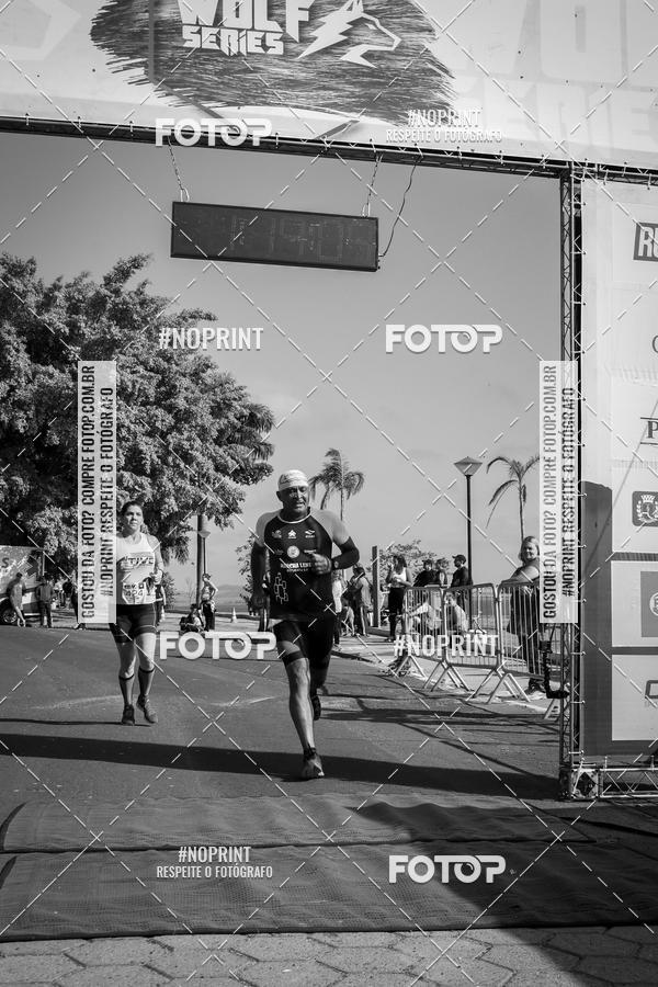 Buy your photos of the eventWolf Series - Botucatu on Fotop