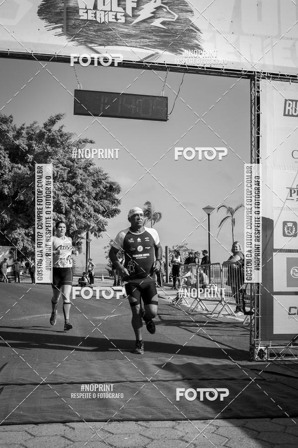 Buy your photos of the eventWolf Series - Botucatu on Fotop