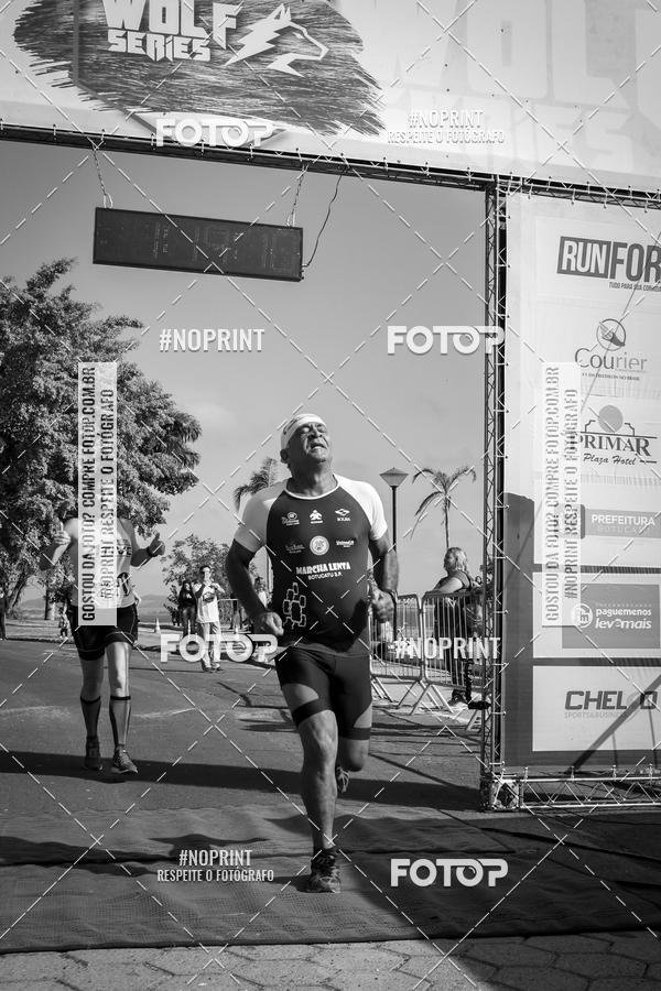 Buy your photos of the eventWolf Series - Botucatu on Fotop