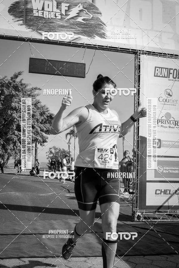 Buy your photos of the eventWolf Series - Botucatu on Fotop