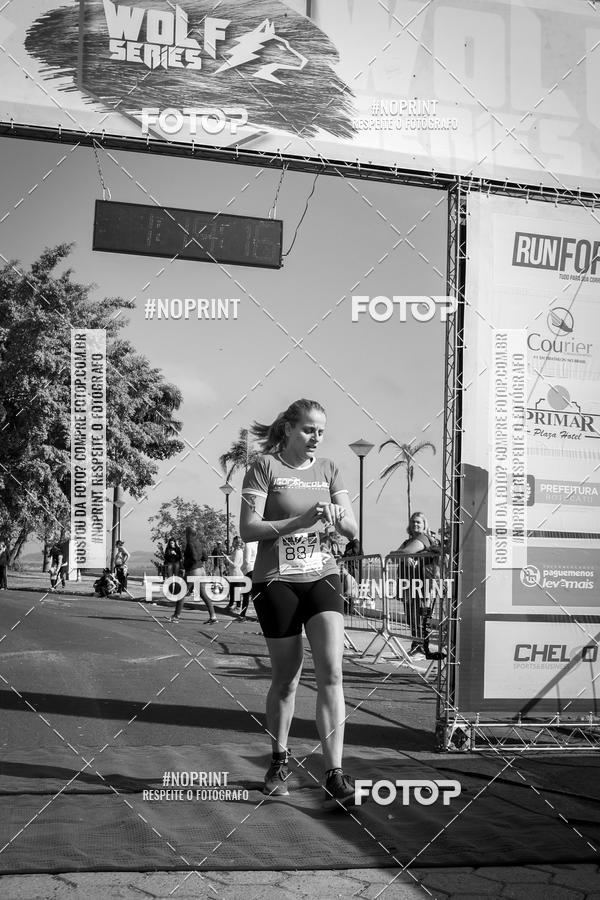 Buy your photos of the eventWolf Series - Botucatu on Fotop