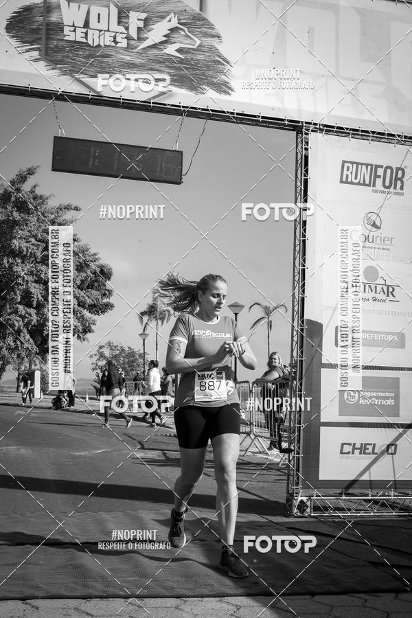 Buy your photos of the eventWolf Series - Botucatu on Fotop