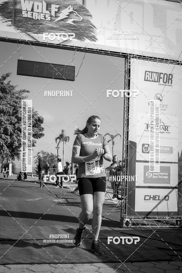 Buy your photos of the eventWolf Series - Botucatu on Fotop