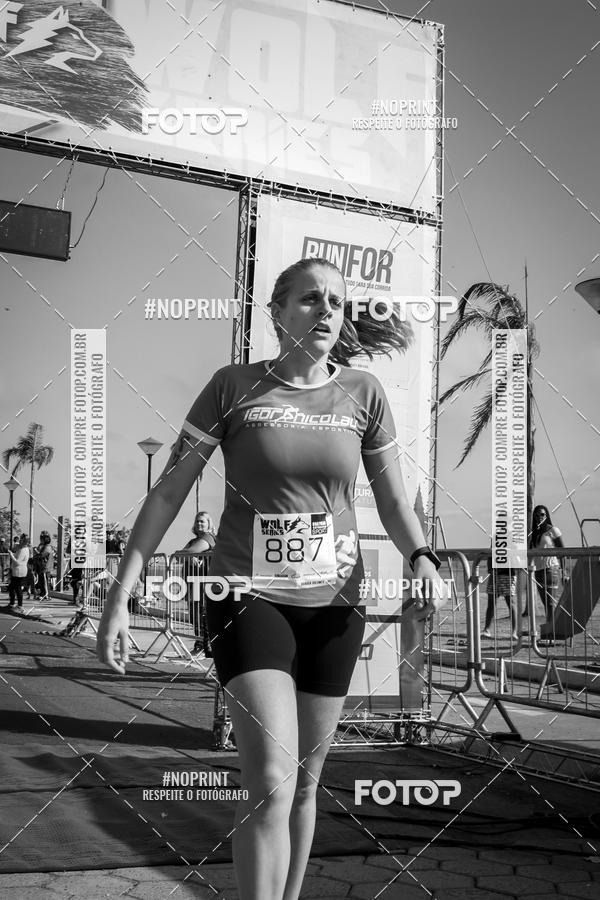 Buy your photos of the eventWolf Series - Botucatu on Fotop