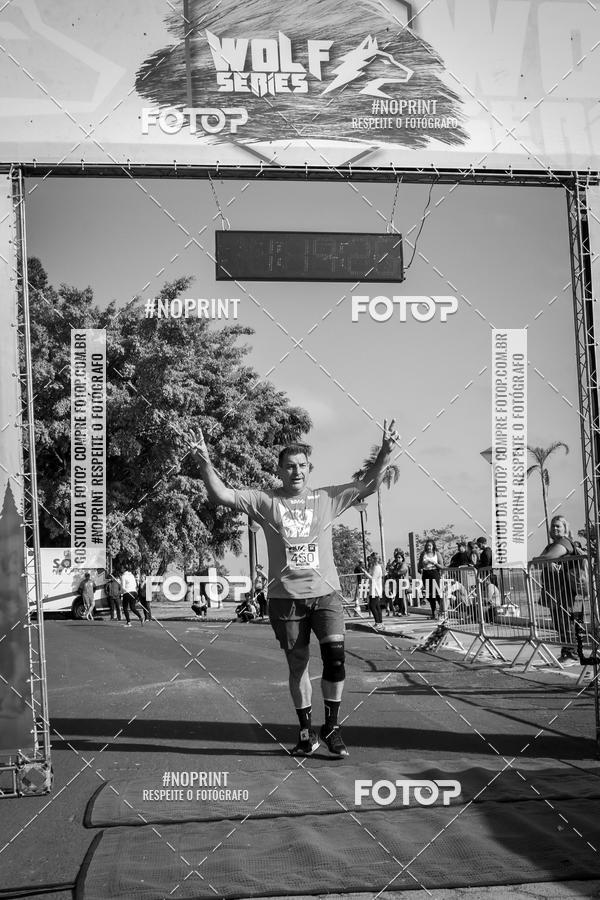 Buy your photos of the eventWolf Series - Botucatu on Fotop