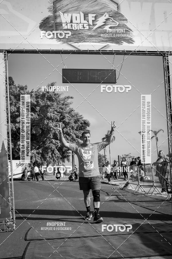 Buy your photos of the eventWolf Series - Botucatu on Fotop