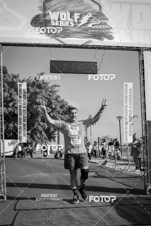 Buy your photos of the eventWolf Series - Botucatu on Fotop