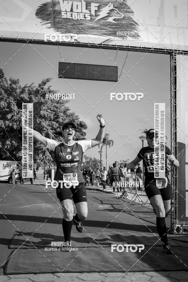 Buy your photos of the eventWolf Series - Botucatu on Fotop