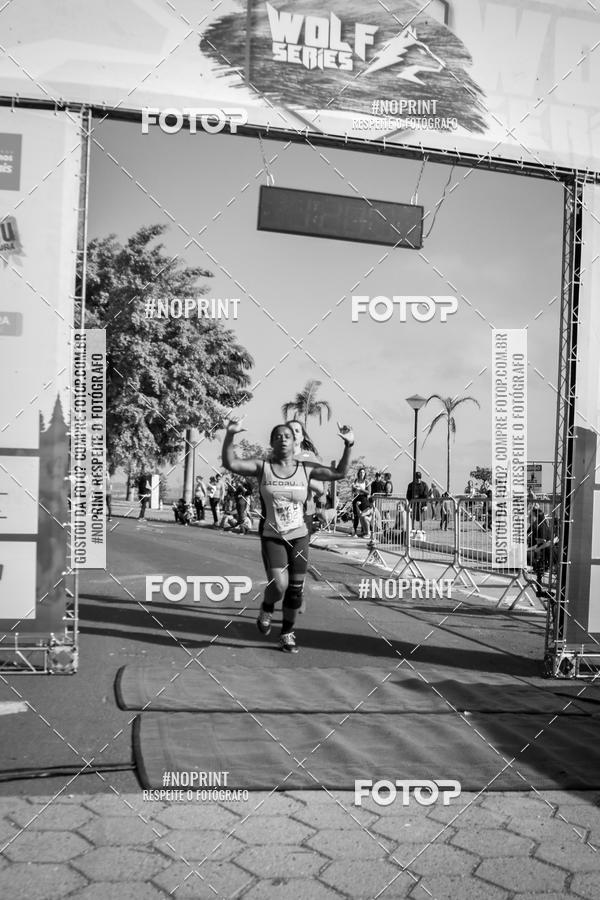 Buy your photos of the eventWolf Series - Botucatu on Fotop