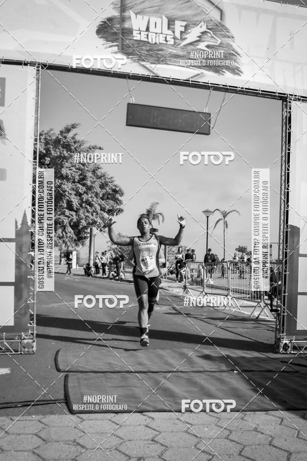 Buy your photos of the eventWolf Series - Botucatu on Fotop