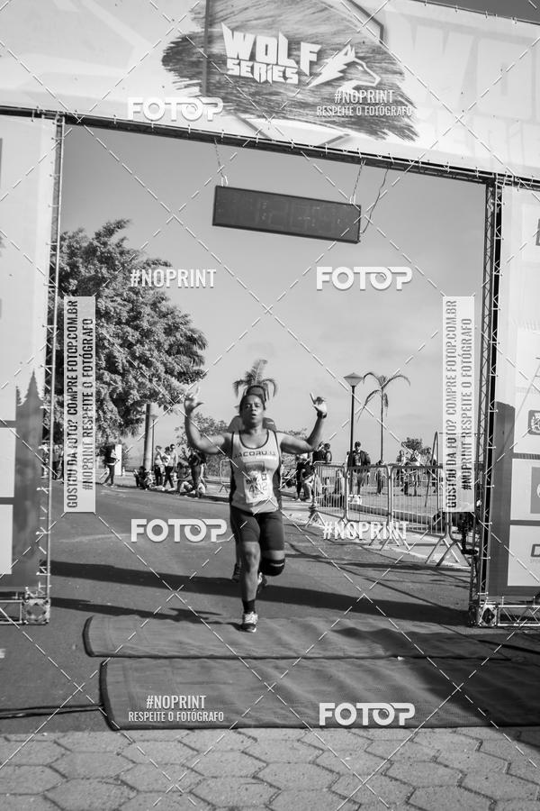 Buy your photos of the eventWolf Series - Botucatu on Fotop