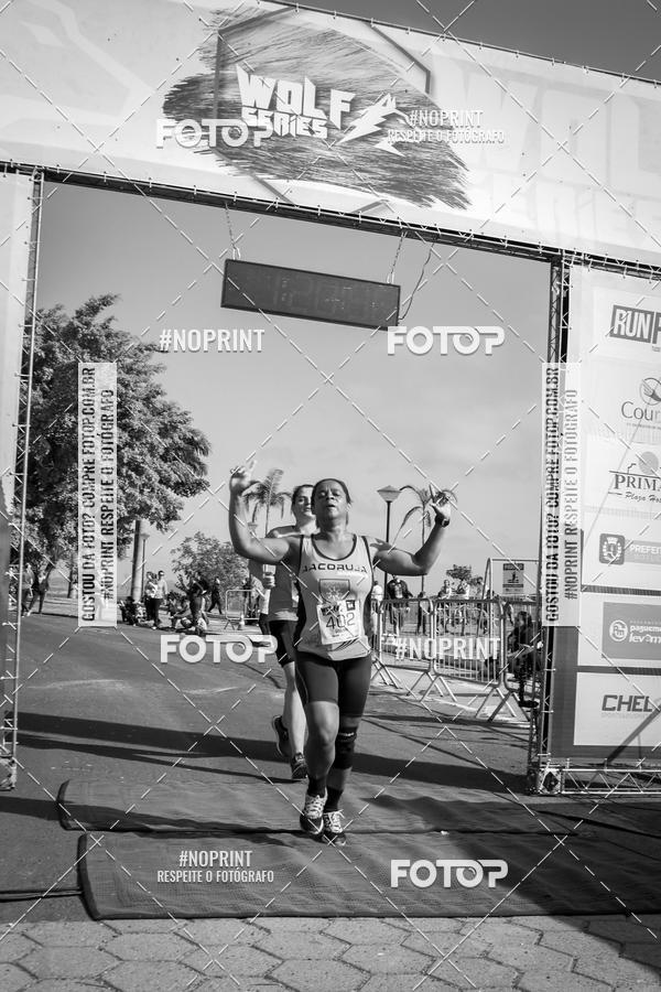 Buy your photos of the eventWolf Series - Botucatu on Fotop