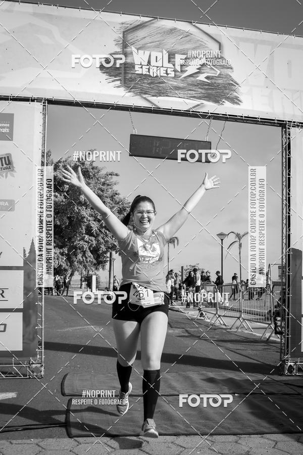 Buy your photos of the eventWolf Series - Botucatu on Fotop