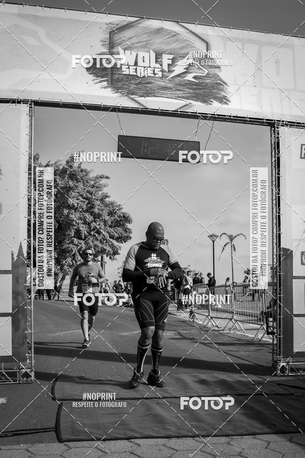 Buy your photos of the eventWolf Series - Botucatu on Fotop