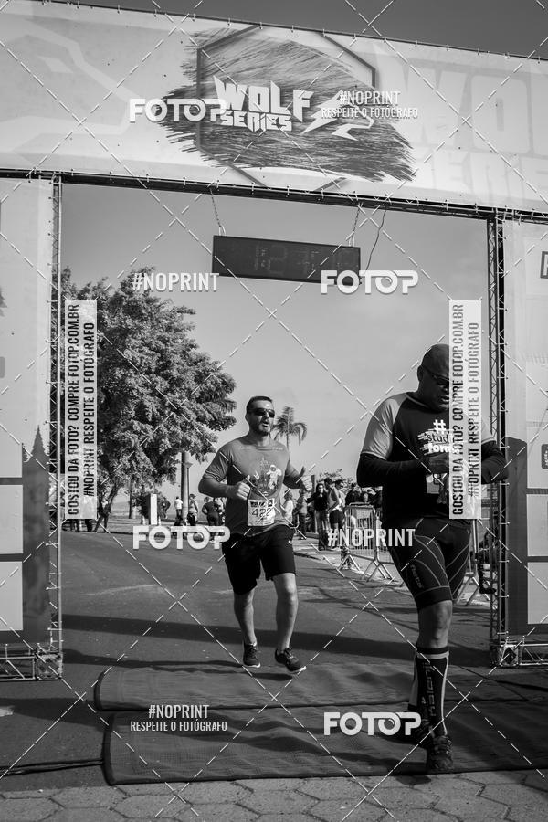 Buy your photos of the eventWolf Series - Botucatu on Fotop