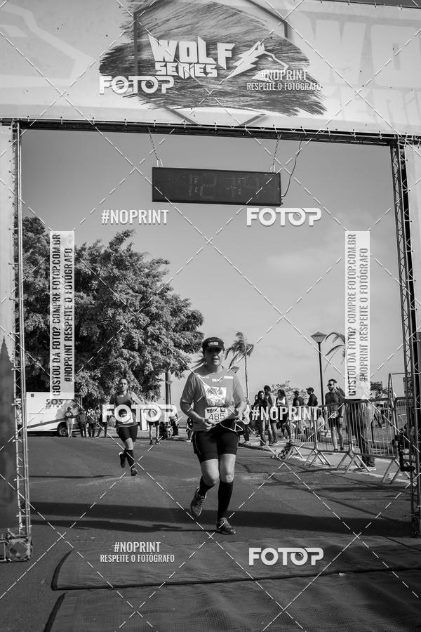 Buy your photos of the eventWolf Series - Botucatu on Fotop