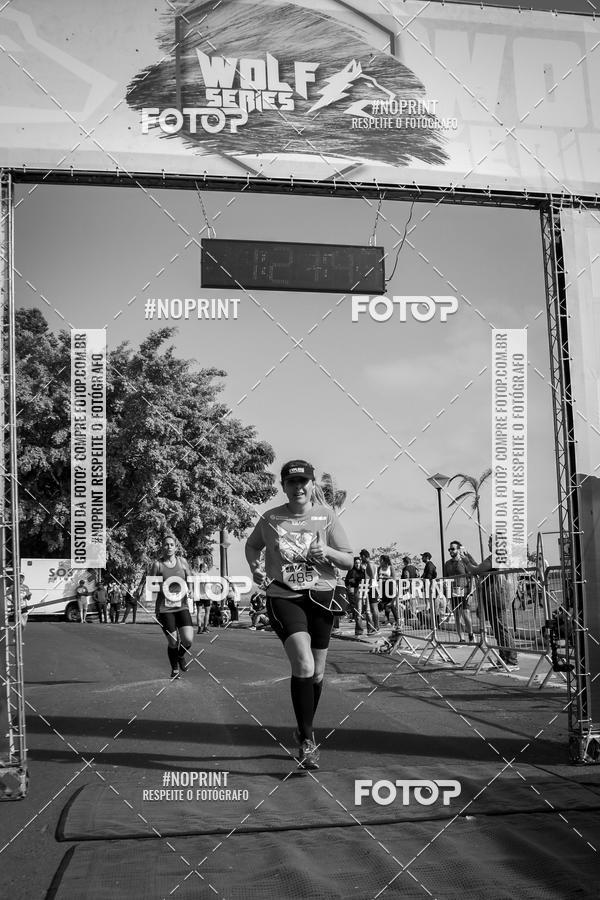 Buy your photos of the eventWolf Series - Botucatu on Fotop