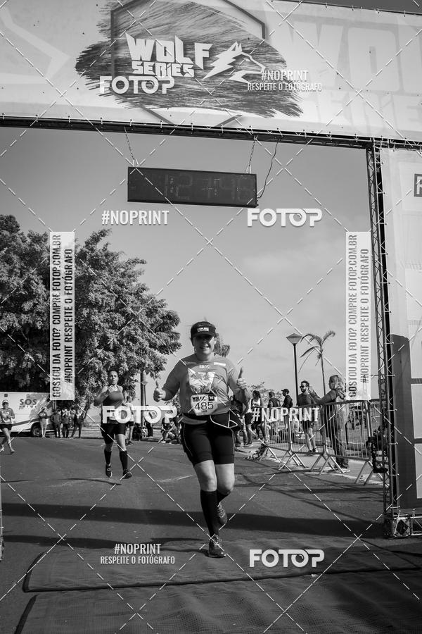 Buy your photos of the eventWolf Series - Botucatu on Fotop