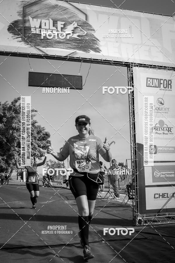 Buy your photos of the eventWolf Series - Botucatu on Fotop