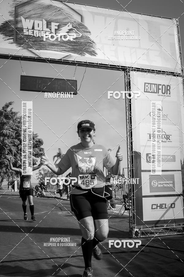 Buy your photos of the eventWolf Series - Botucatu on Fotop