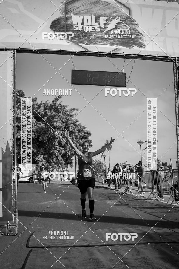 Buy your photos of the eventWolf Series - Botucatu on Fotop