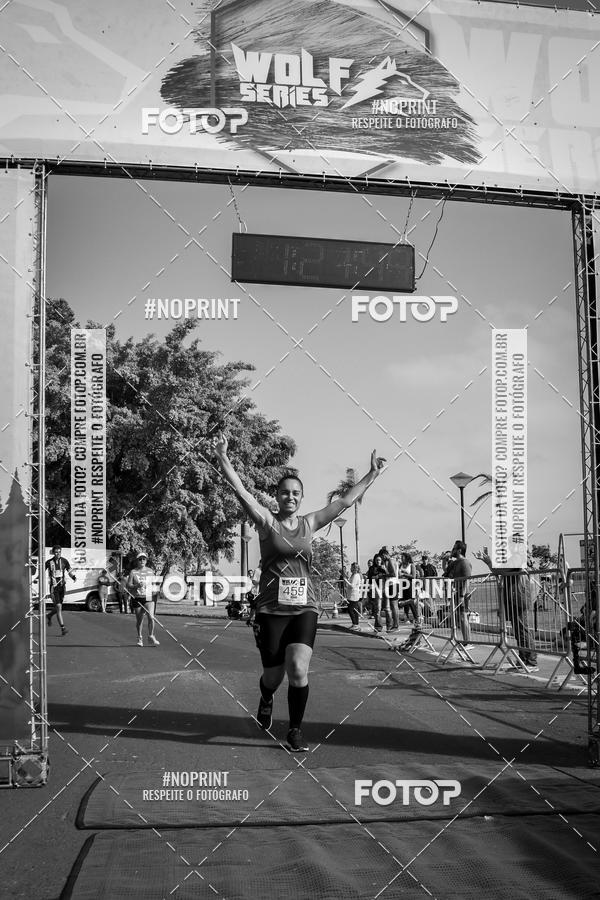 Buy your photos of the eventWolf Series - Botucatu on Fotop