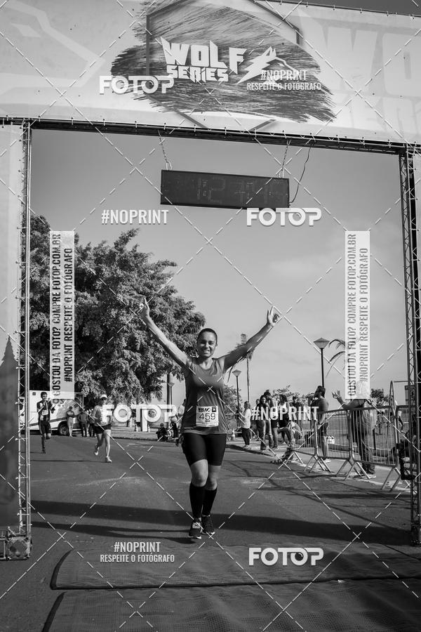 Buy your photos of the eventWolf Series - Botucatu on Fotop