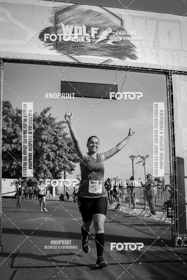 Buy your photos of the eventWolf Series - Botucatu on Fotop