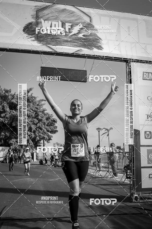 Buy your photos of the eventWolf Series - Botucatu on Fotop