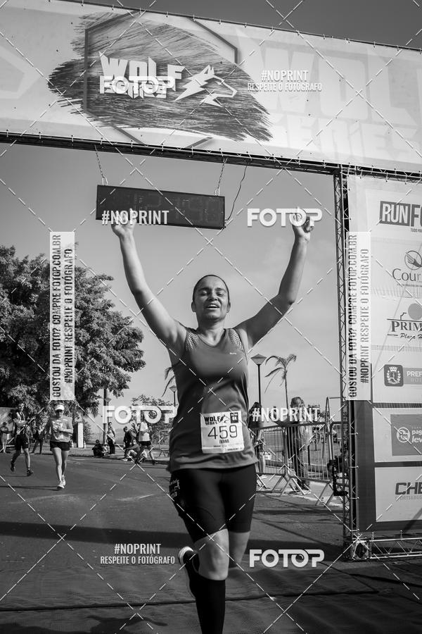 Buy your photos of the eventWolf Series - Botucatu on Fotop