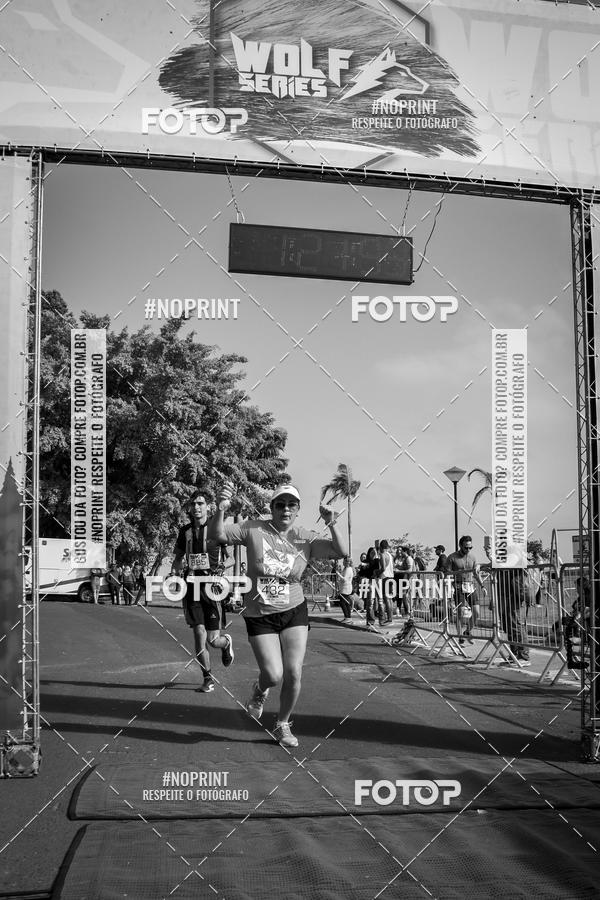 Buy your photos of the eventWolf Series - Botucatu on Fotop