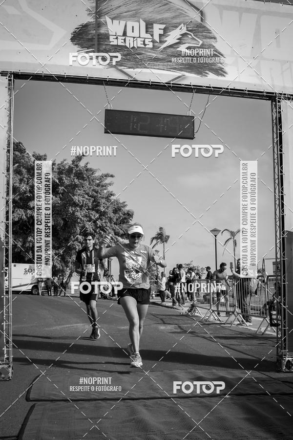 Buy your photos of the eventWolf Series - Botucatu on Fotop