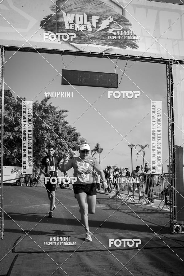 Buy your photos of the eventWolf Series - Botucatu on Fotop