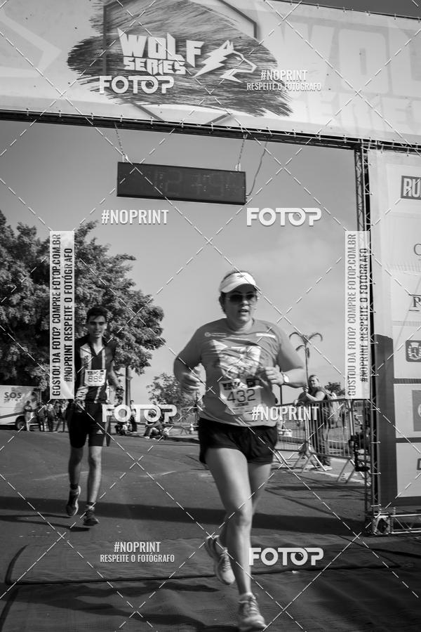 Buy your photos of the eventWolf Series - Botucatu on Fotop