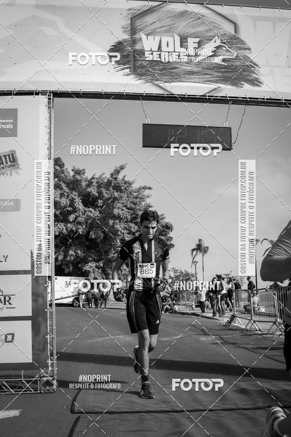 Buy your photos of the eventWolf Series - Botucatu on Fotop