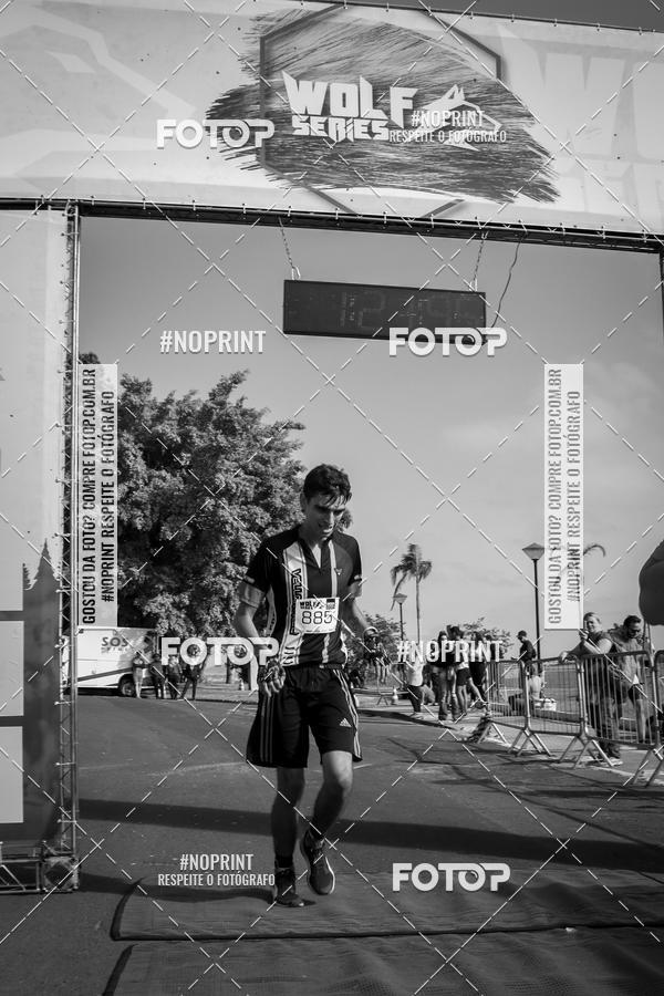 Buy your photos of the eventWolf Series - Botucatu on Fotop