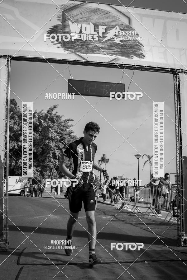 Buy your photos of the eventWolf Series - Botucatu on Fotop