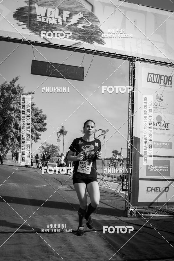 Buy your photos of the eventWolf Series - Botucatu on Fotop