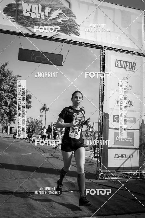 Buy your photos of the eventWolf Series - Botucatu on Fotop