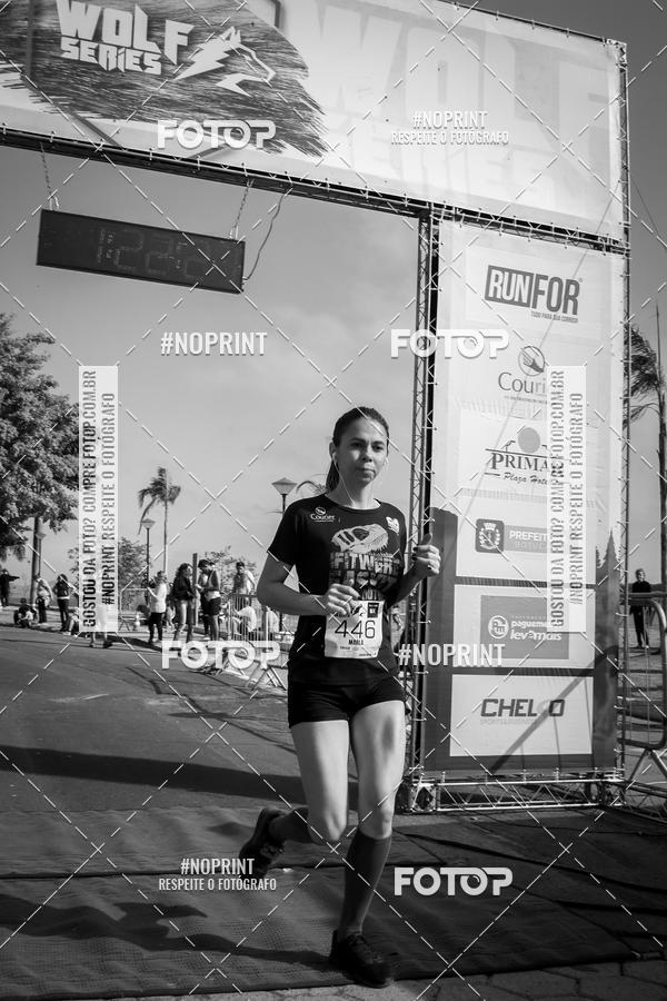 Buy your photos of the eventWolf Series - Botucatu on Fotop