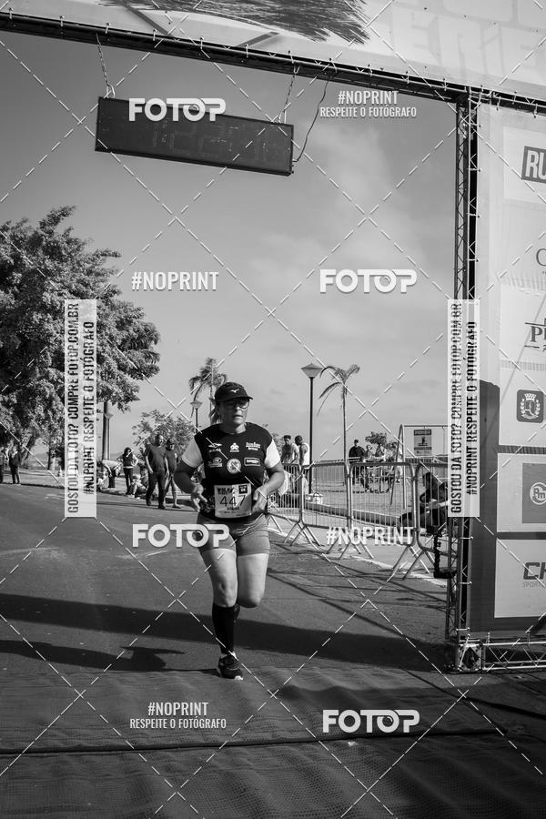 Buy your photos of the eventWolf Series - Botucatu on Fotop