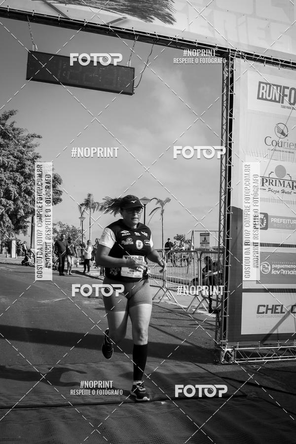 Buy your photos of the eventWolf Series - Botucatu on Fotop