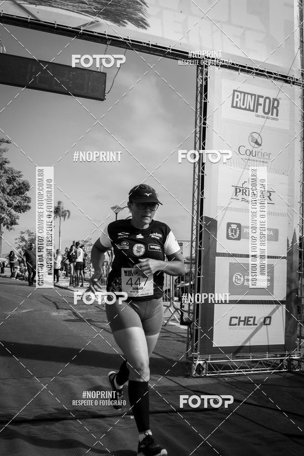 Buy your photos of the eventWolf Series - Botucatu on Fotop