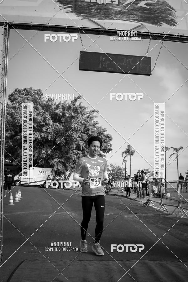 Buy your photos of the eventWolf Series - Botucatu on Fotop