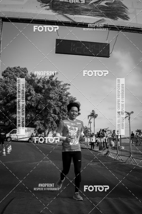 Buy your photos of the eventWolf Series - Botucatu on Fotop