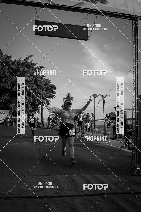 Buy your photos of the eventWolf Series - Botucatu on Fotop