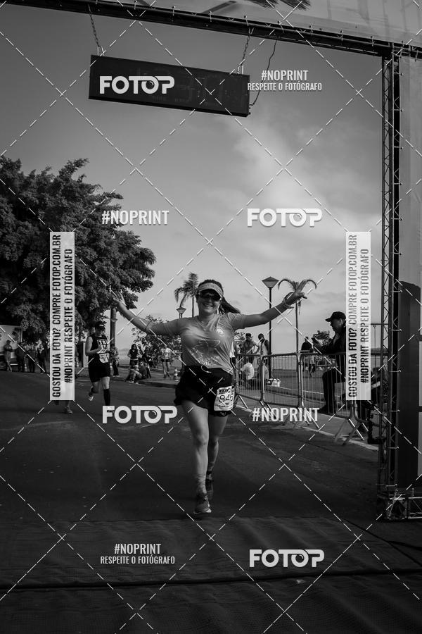 Buy your photos of the eventWolf Series - Botucatu on Fotop